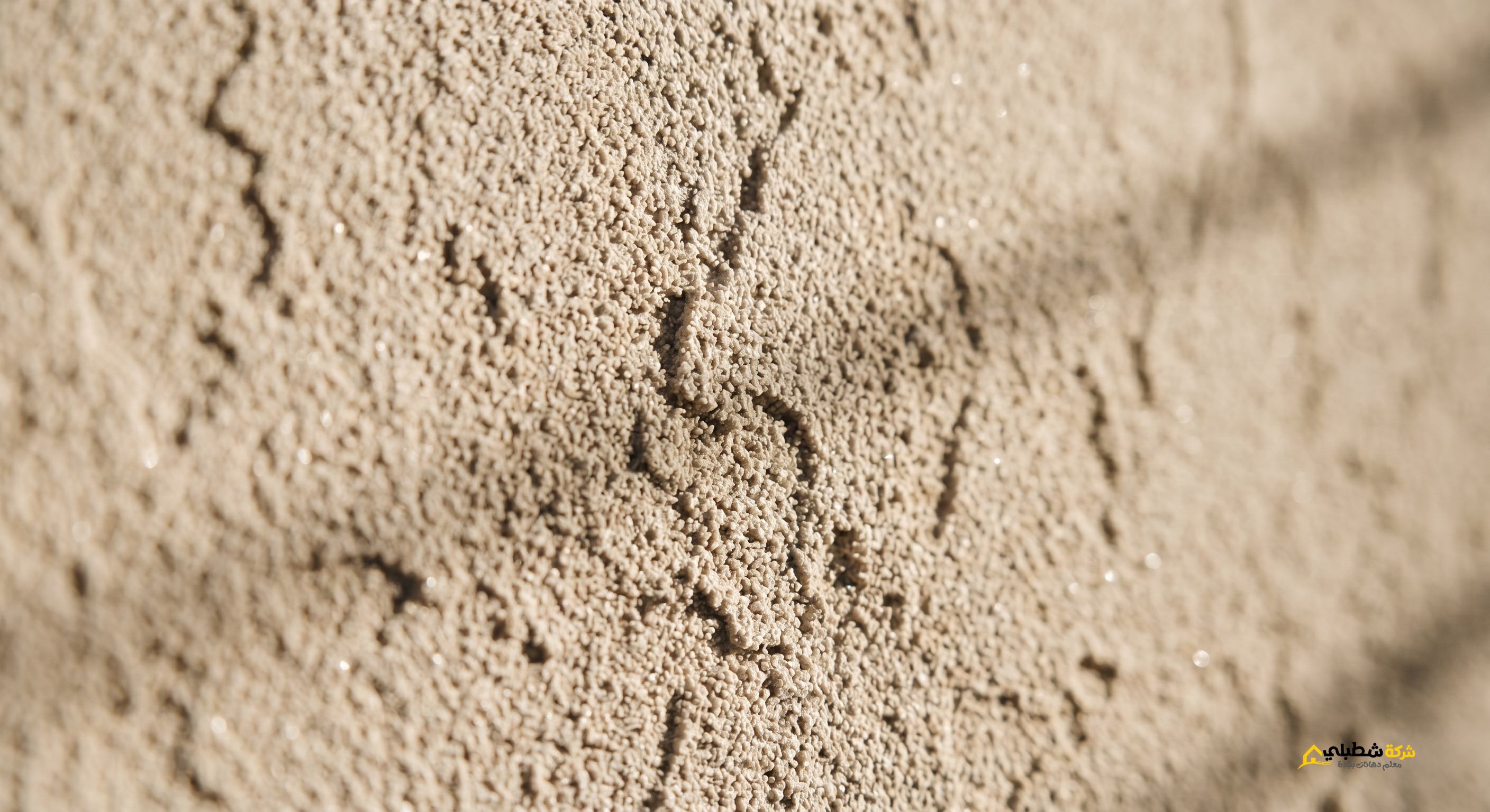 ملمس دهان بروفايل ناعم واجهات فلل جدة