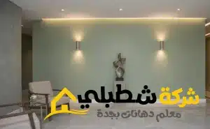 دهان سلالم ومناطق مشتركة بجدة